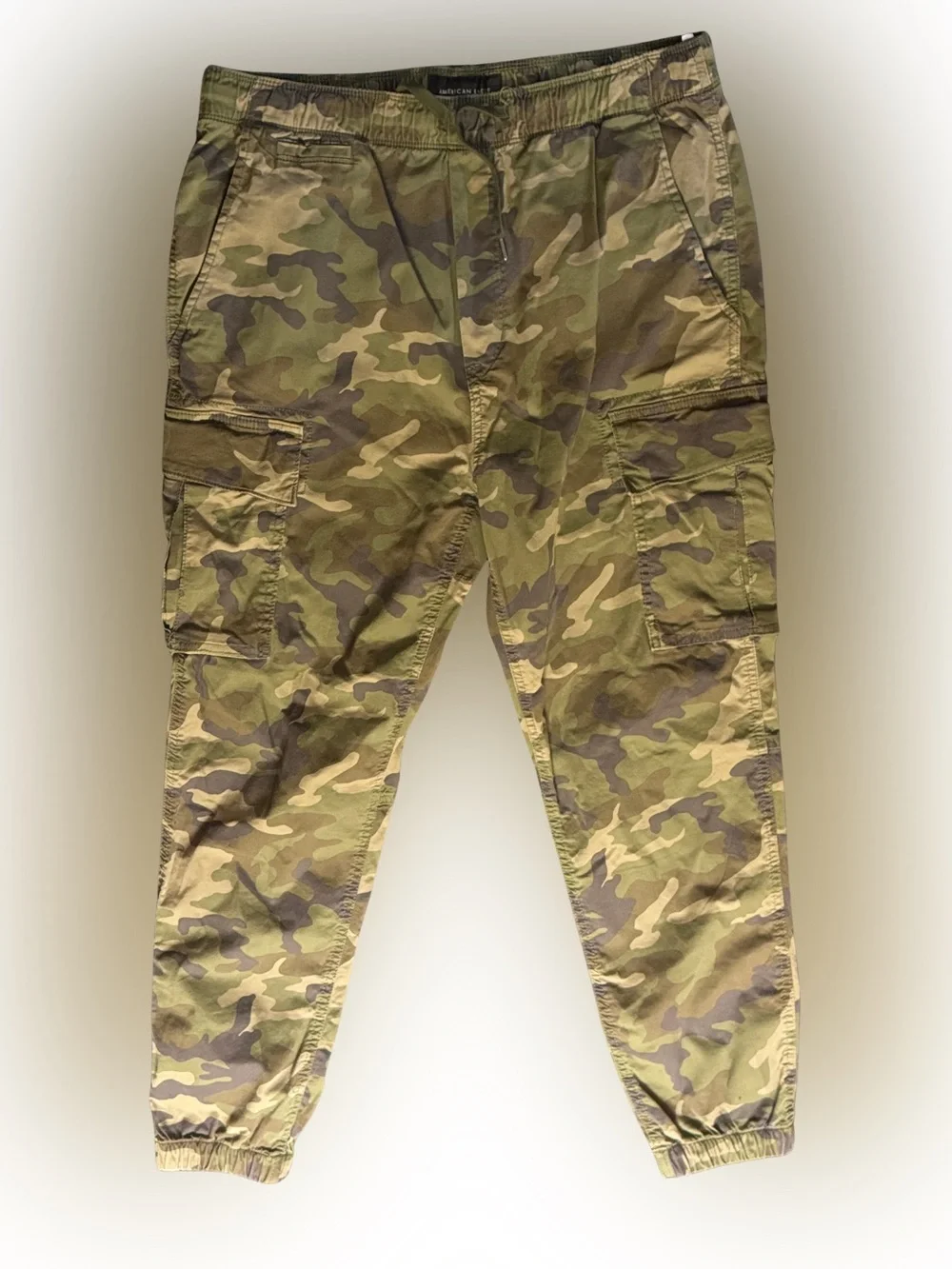 American Eagle Outfitters Men's Camo Cargo Pants - Olive/Tan